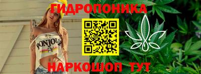 прущая мука Будённовск
