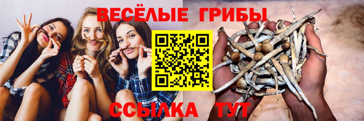 Орск  Псилоцибиновые грибы GOLDEN TEACHER  Вход с VPN 
